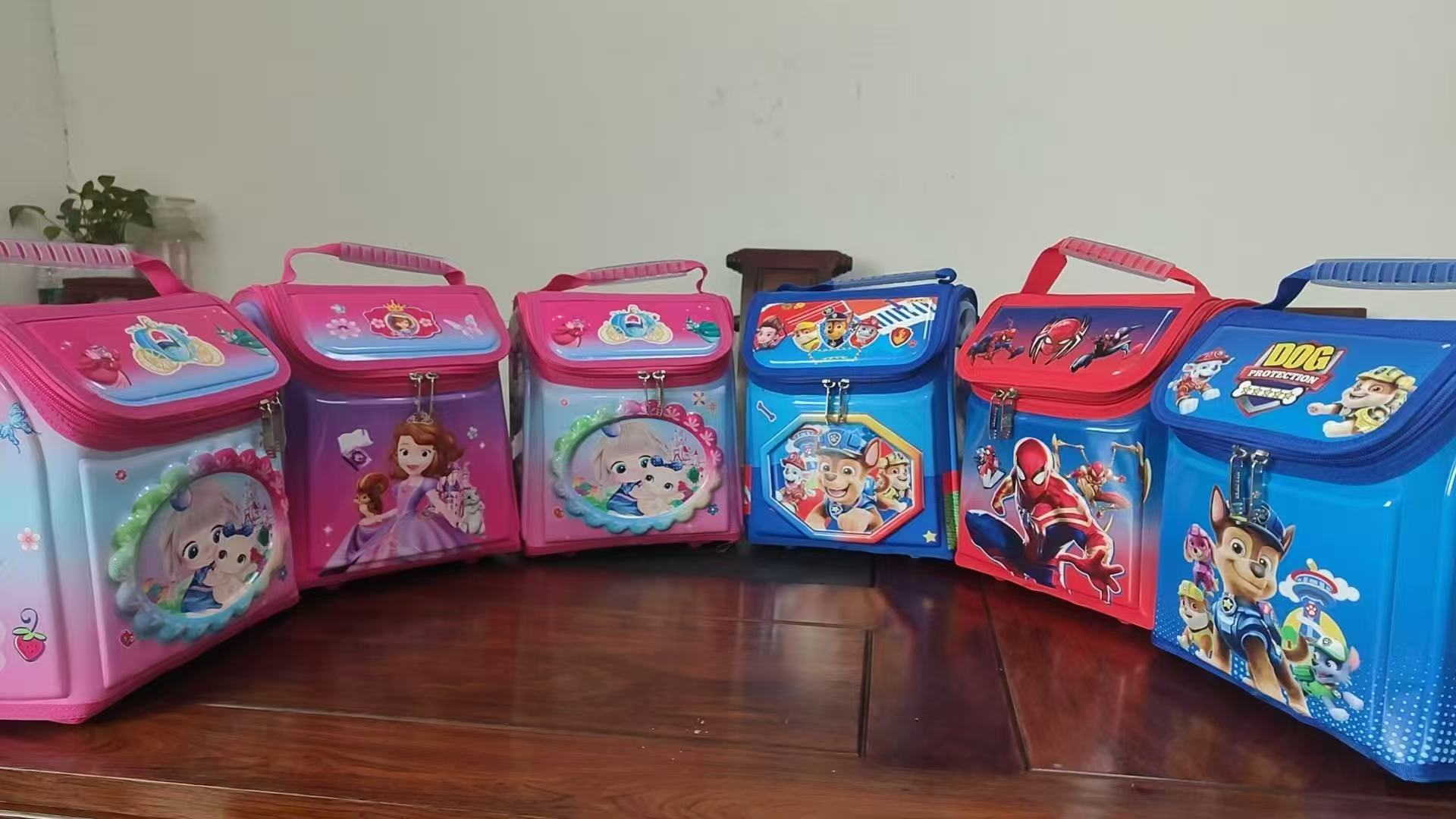 Box Lunch Bag